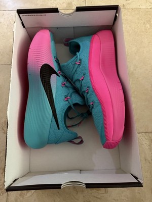 Nike Lebron TR 1 Dusty Cactus Black Pink Blast (FJ6151 301) Men's Size 11