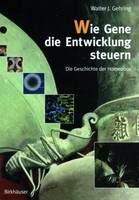 Wie Gene Die Entwicklung Steuern Walter J. Gehring