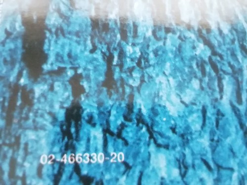 Stevie Ray Vaughan And Double Trouble* – Soul To Soul - VINYL,.,1985 NO SEALED - Foto 3 di 6