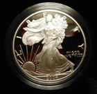 2004-W Proof Silver American Eagle 1 oz coin w/box & COA - 1 OUNCE