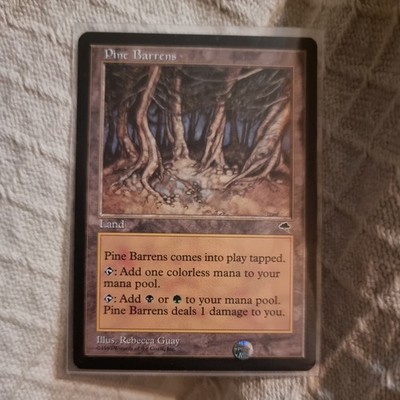 1x MTG Magic The Gathering TCG Pine Barrens Land - Tempest