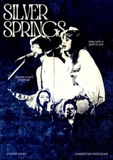 11.69x16.54 Fleetwood Mac Stevie Nicks Tour Poster Silver Springs