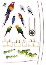 Parrot Birds Artwork Kids Living Bedroom Decor Wall Sticker Decal 15"W X 23"H