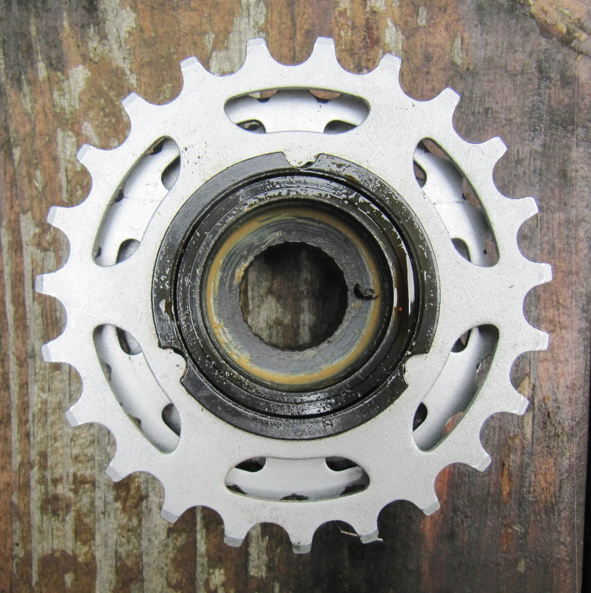 Roue Libre Vintage Regina Extra America 6 Vitesses - Pignons 13-23 Dents | Pour Vélo De Route, Occasion En Bon état