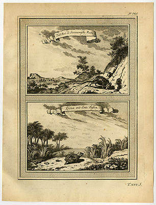 Antiker Druck-RATTE-FROSCH-SURINAM-Bellin-Schwabe-1758
