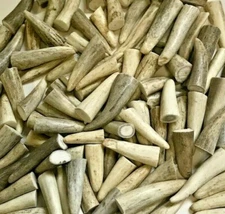 Deer/Elk Antler Tips -Pack of (15)  2"- 2.5" Clean Toggles-perfect for Crafters!