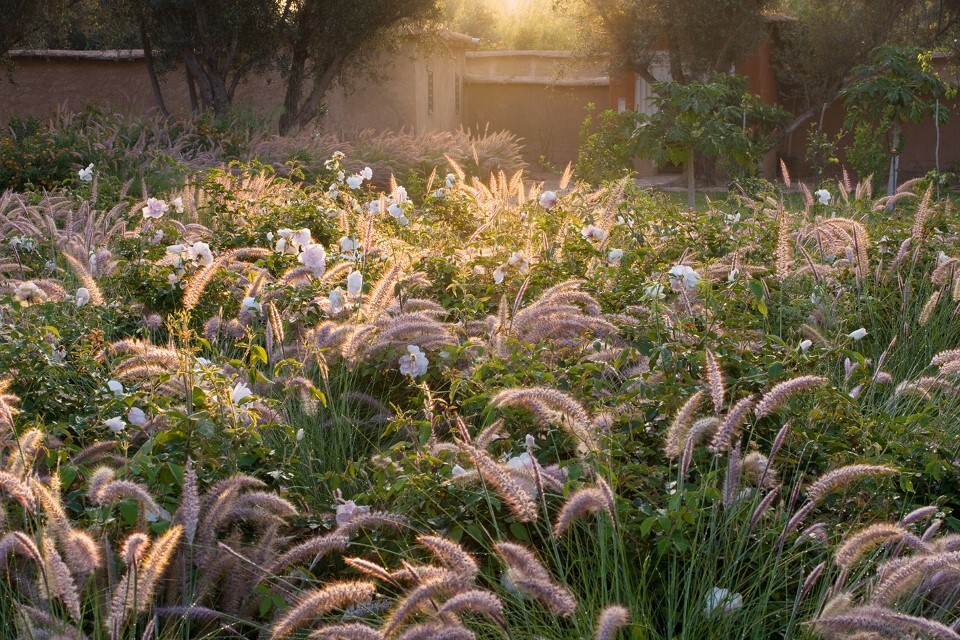 Thumbnail - Mediterranes Gartendesign Sabine Wesemann