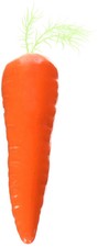 Fake Carrot Costume Prop Accessory