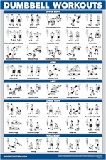 Palace Learning Dumbbell Workout Exercise Poster - Free Weight Body Building Gui