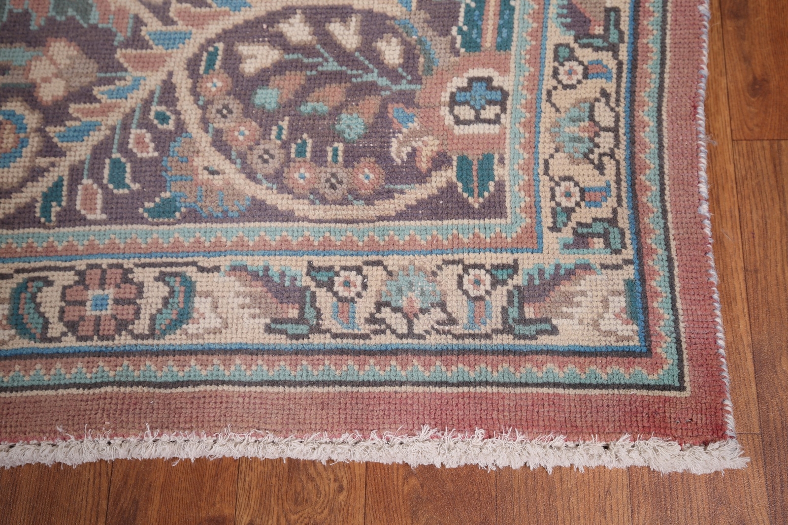 Picture 6 of 12