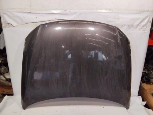 Capot pour VOLKSWAGEN PASSAT BERLINA (3C2) Advance 1816859