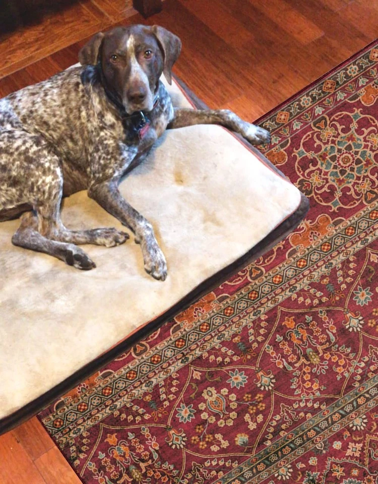 Linon Home Decor Products The Anywhere Washable Rug Yarit Garnet & Ivory 2' X... - Image 4 of 4