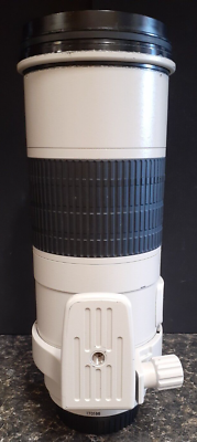 Canon　EF300mm F 4 L ULTRASONIC Canon EF 300mm f/4L IS USM Lens Review