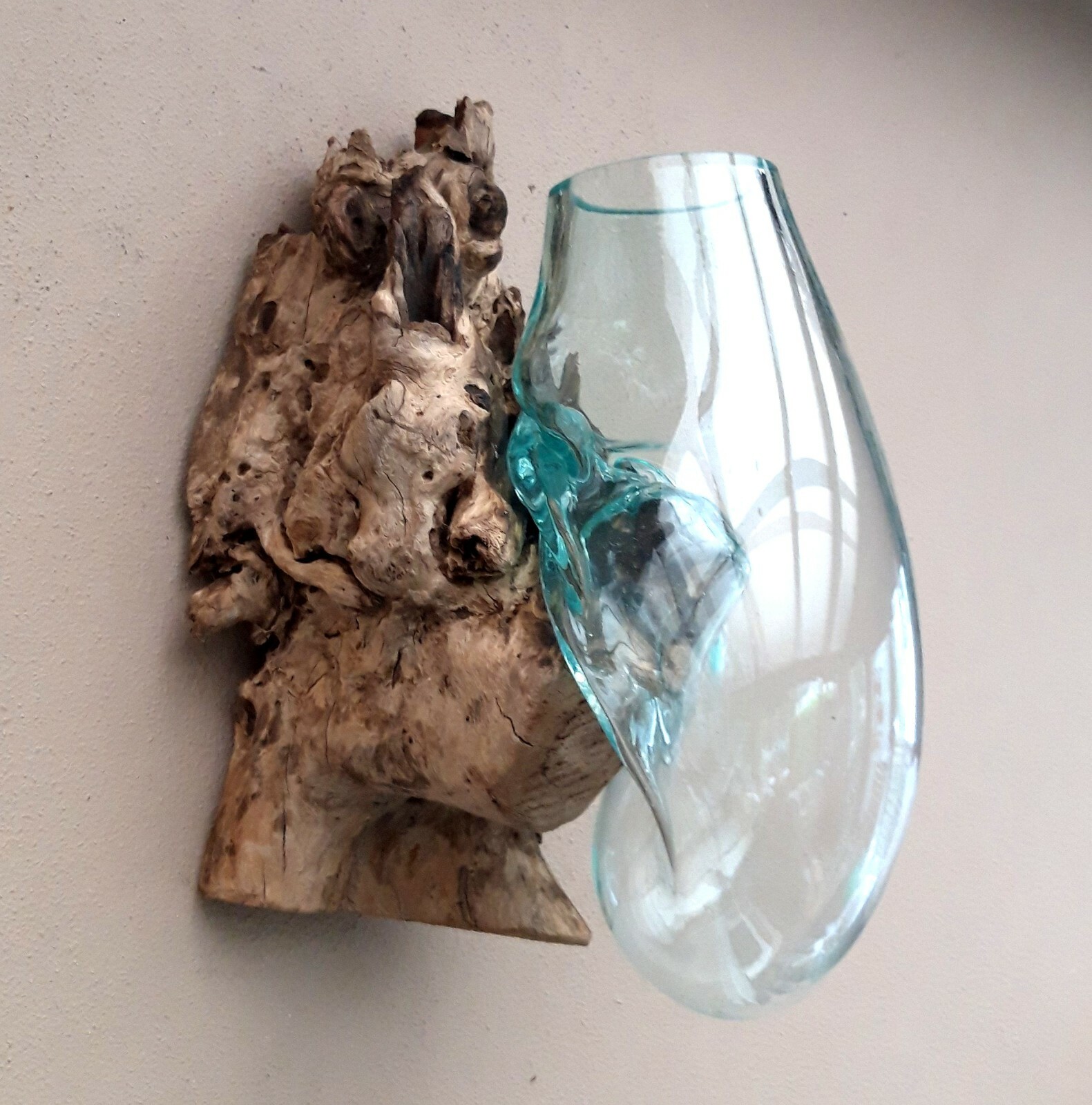 Large Melted Glass On Root Wood Unusual Ornamental Vase Fish Bowl Terrarium C3 For Sale Ebay