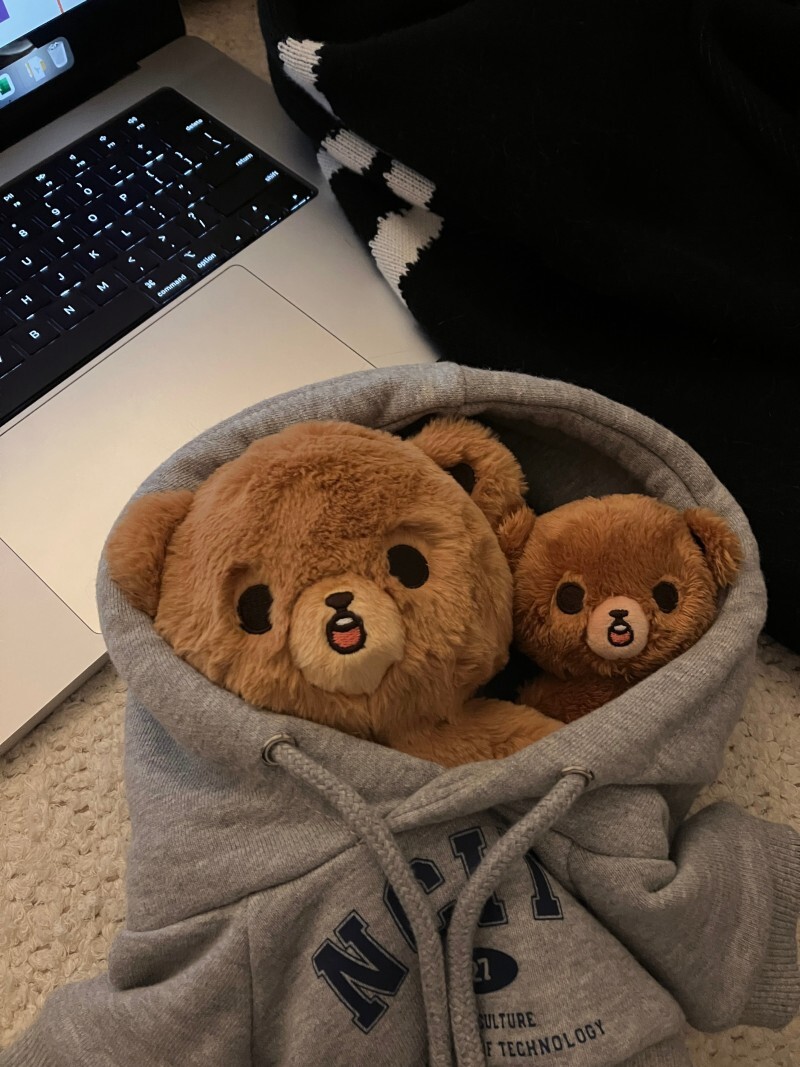 AUTHENTIC/NEW] NCT 127 DREAM HAECHAN (10cm 20cm) PLUSH DOLL GOMDO