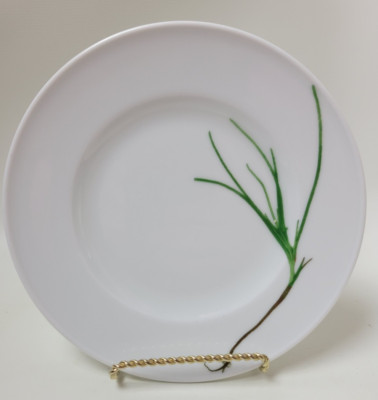 Schonwald Dibbern Herbaticum Chives Salad Dessert Plate Germany 7 1/2''