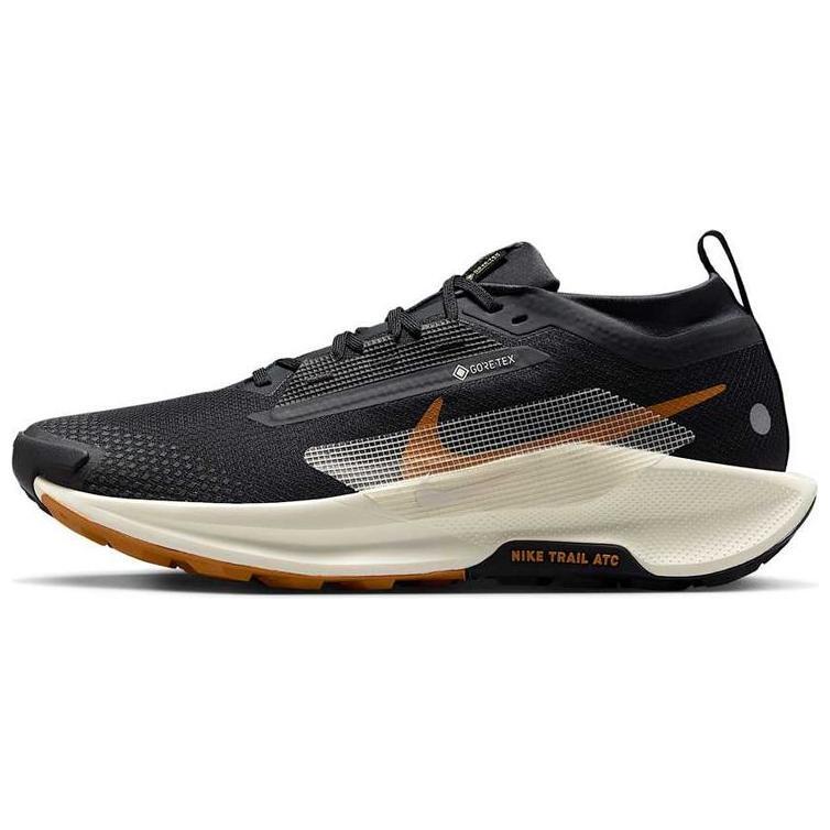 Кроссовки Nike Pegasus Trail 5 GORE-TEX Black Monarch - FQ0908-007
