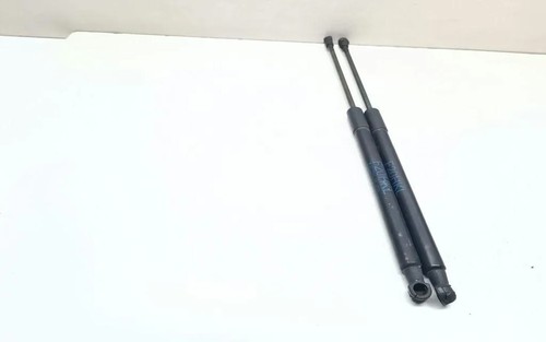 BMW 1 F20 Heckklappe Gasdruckfeder links 7239871 2.00 Diesel 2013 33663965