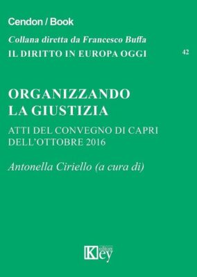 Bücher Die Gerechtigkeit organisieren. Tagungsakte (Capri, Oktober 2016)
