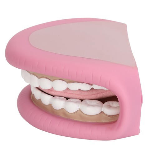 Kids Mouth Hand Puppet 28 Teeth Tongue Mouth Puppet With Toothbrush - Photo 4/22