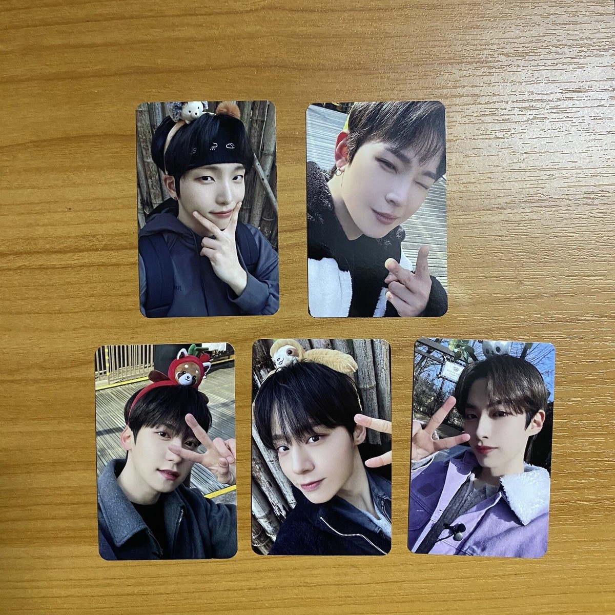 COMBINED FAST SHIPPING ONEUS RBW Cafe Photocard Set | eBay