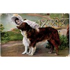New ListingVictorian Girl With Her Saint Bernard Dog 1907 Postcard Pd2