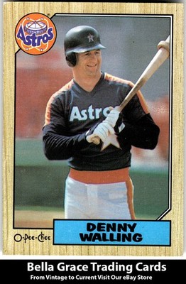 1987 O-Pee-Chee Denny Walling #222 Houston Astros MLB Baseball