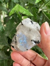 Grade A Large Rainbow Moonstone Raw Stone 2-3 Inches, Wholesale Bulk Lot