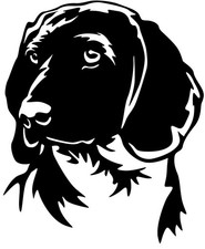 Adesivo CANE SVIZZERO DI MONTAGNA BAVARESE - adesivo auto - sticker - testa BGS #25