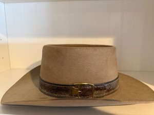 Stetson Beaver Hat 4X | eBay