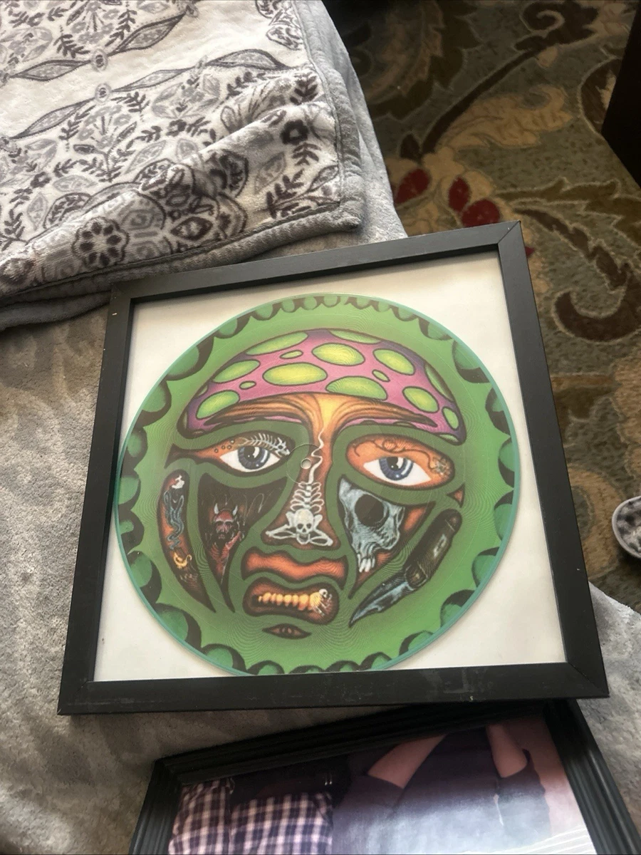 Sublime Picture Disc Vinyl Records for sale - eBay