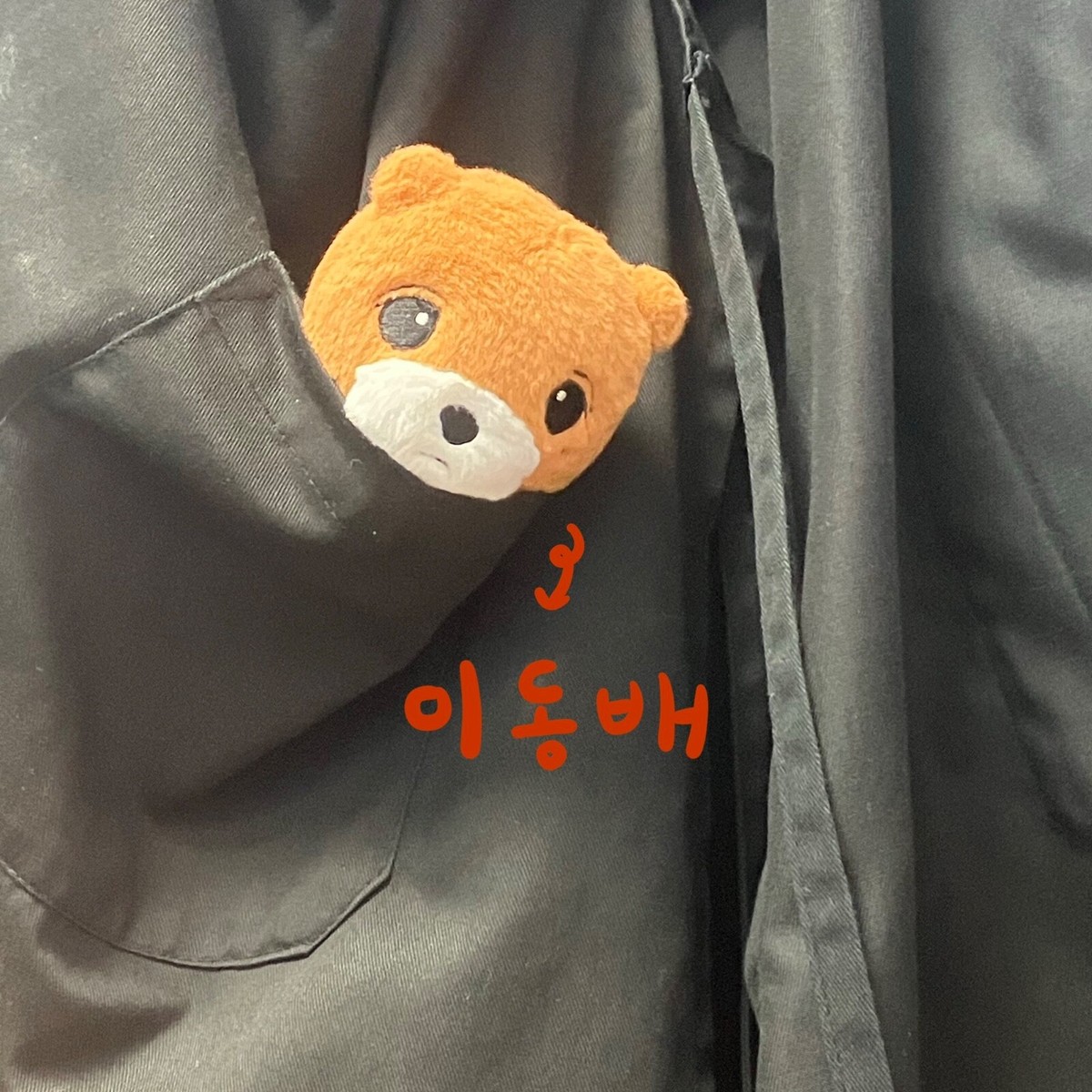 AUTHENTIC/NEW] NCT 127 DREAM JENO (10cm) PLUSH DOLL