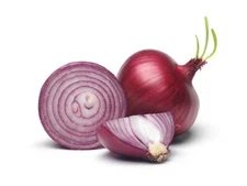 200 RED BURGUNDY ONION SEEDS ~ heirloomseedguy ~ 2026 ~ NON-GMO