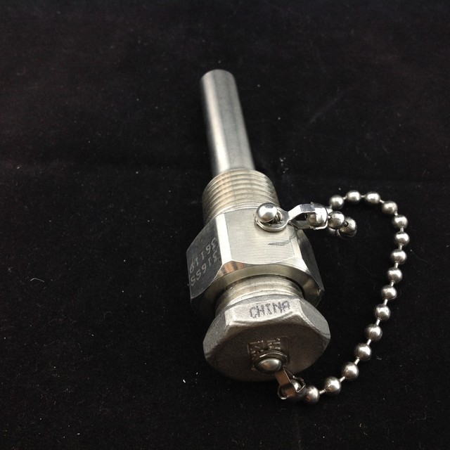 Thermowell 316SS 36119 1/2" FTP x 2 3/4" with Cap and Chain
