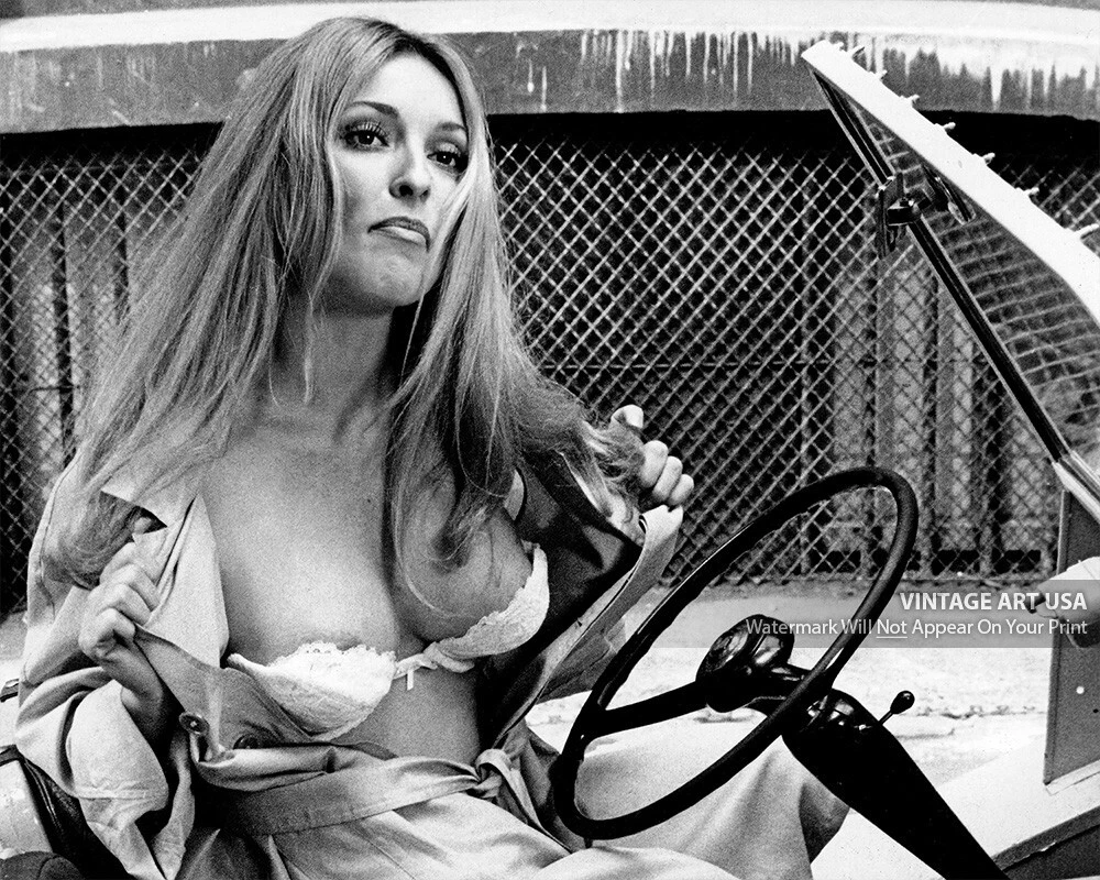 1969 Sharon Tate Exposing Her Breasts - Vintage Celeb Publicity Movie Set  Photo | eBay