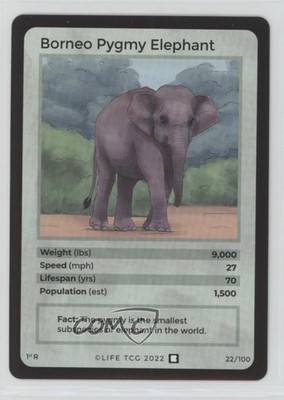 2022 Life TCG Kickstarter 1st Edition Borneo Pygmy Elephant #22
