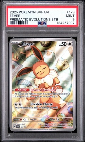 Pokemon, Scarlet and Violet, Eevee  ETB Promo #173, PSA 9