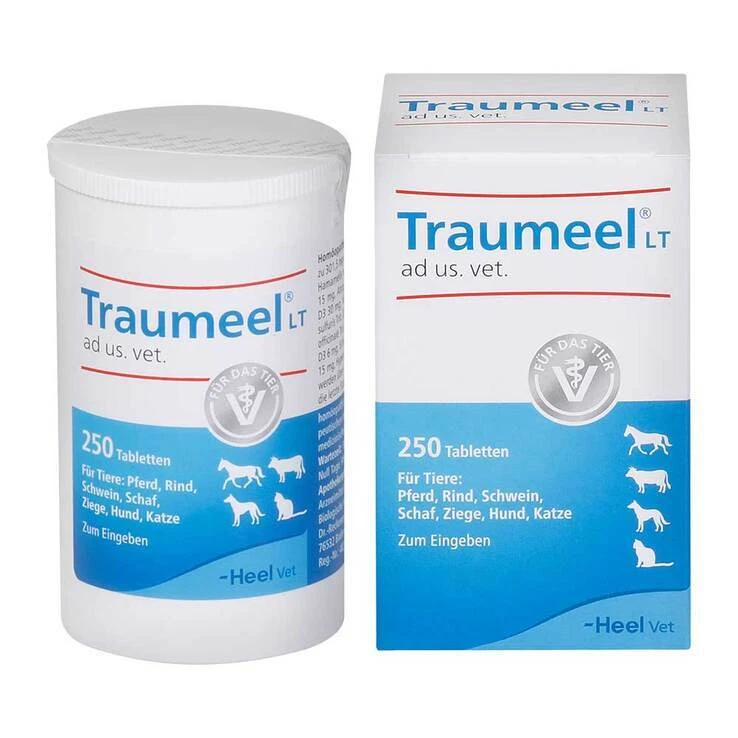 Traumeel LT ad us.vet.Tabletten · 250 St · PZN 15300328