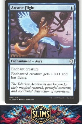 Arcane Flight - Dominaria - MTG - Common - #43 - NM