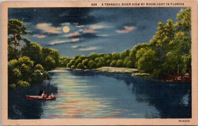 A Tranquil River View By Moonlight Full Moon in Florida Vintage Postcard Spc9