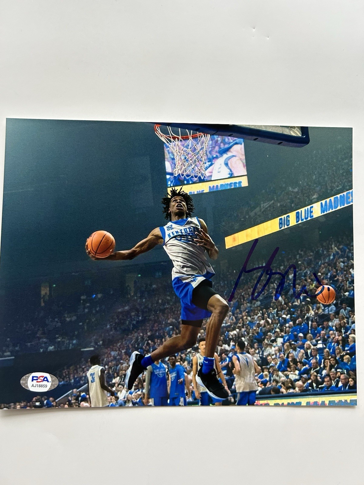 Shai Gilgeous-Alexander Autographed Signed Kentucky Wildcats 8x10 !!! PSA Certified 