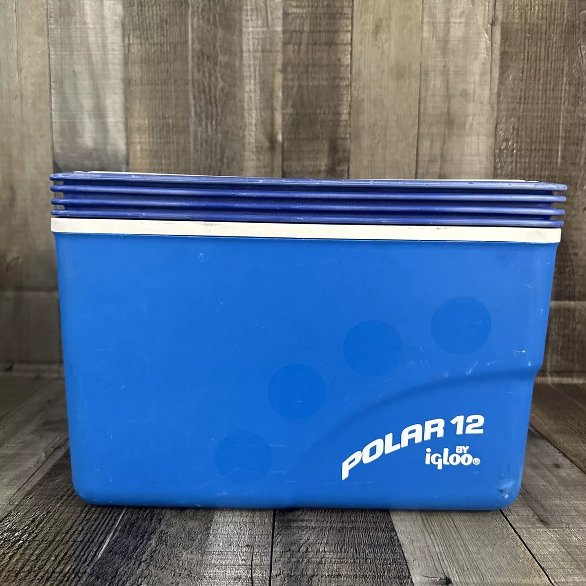 Polar 12 by Igloo Ocean Blue Cooler clean beach boat picnic small handle