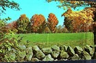 NICE VINTAGE POSTCARD  ROCK WALL & FALL FOILAGE - A NEW ENGLAND TRADEMARK — photo 1