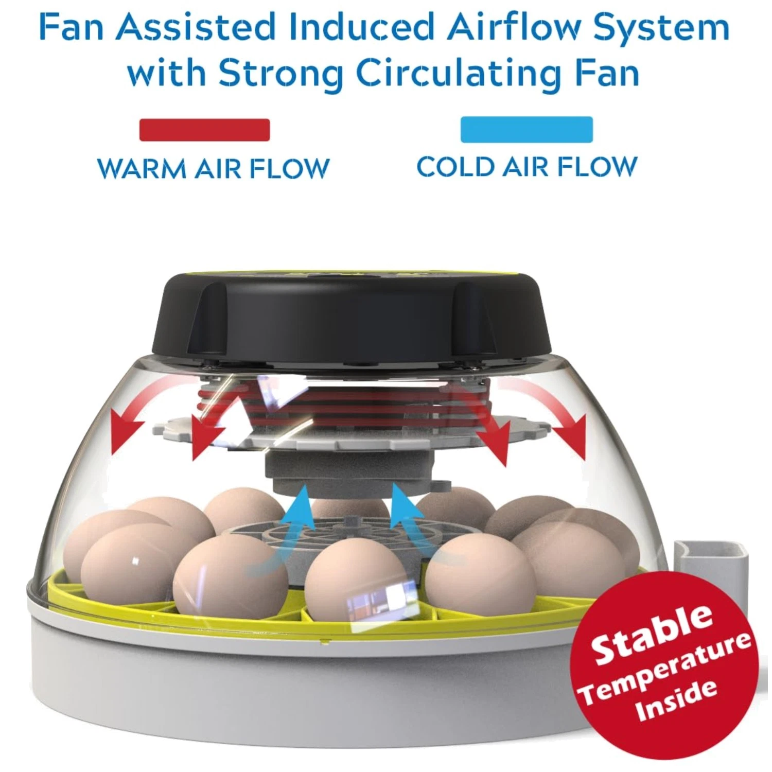 Reliable Egg Incubator with Humidity Indicator & Candler