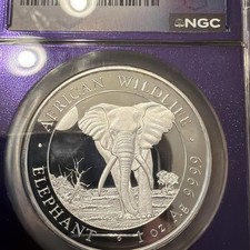 Las mejores ofertas en Monedas de NGC somalí | eBay