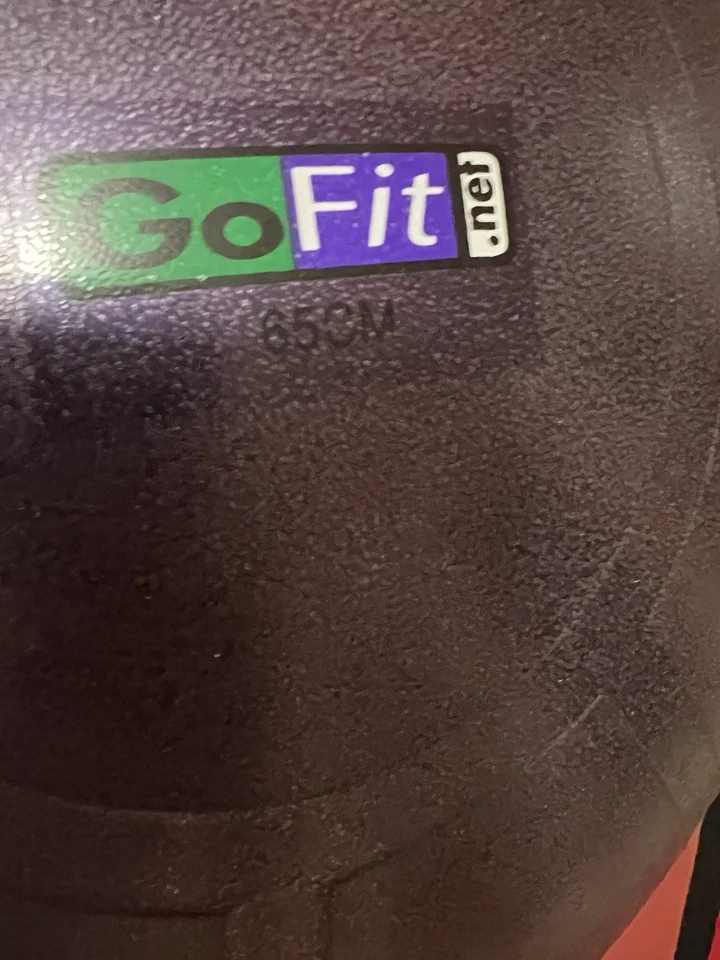GoFit Ultimate Core Stability Exercise Ball 65CM with Pump, DVD, and Poster - Image 2 of 4