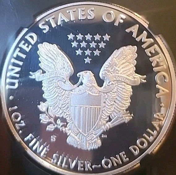 Picture 7 of 11