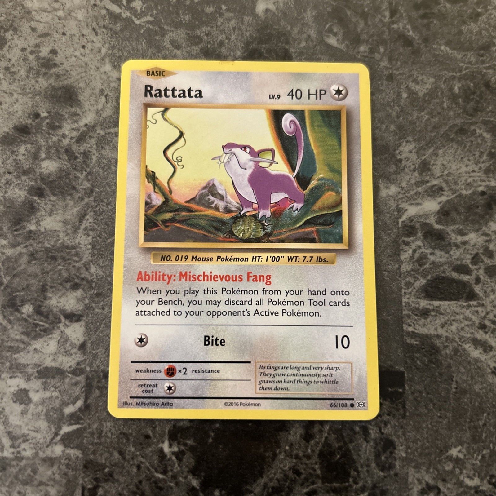 2016 Pokemon TCG Rattata - 66/108 - XY Evolutions Common