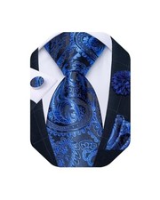 Mens Tie and Lapel Pin Set Silk Plaid Solid Paisley Necktie Royal Blue Paisley