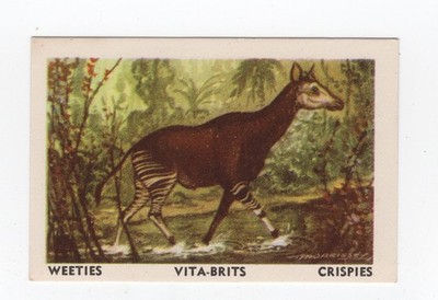 Cereal Foods Australia 1954 #50 Okapi